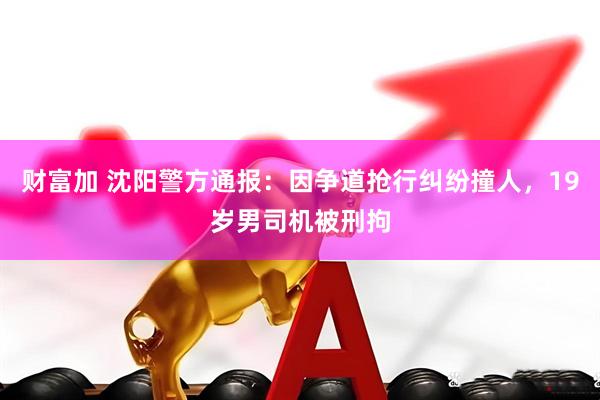 财富加 沈阳警方通报：因争道抢行纠纷撞人，19岁男司机被刑拘