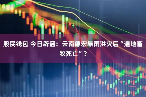 股民钱包 今日辟谣：云南德宏暴雨洪灾后“遍地畜牧死亡”？