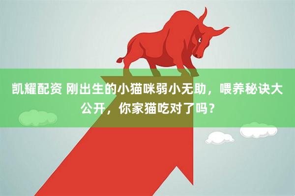 凯耀配资 刚出生的小猫咪弱小无助，喂养秘诀大公开，你家猫吃对了吗？
