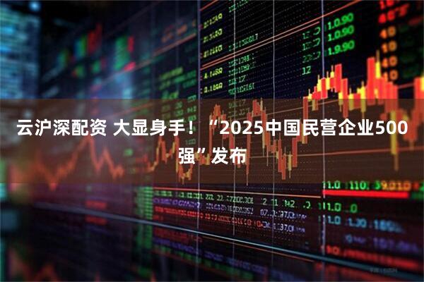 云沪深配资 大显身手！“2025中国民营企业500强”发布