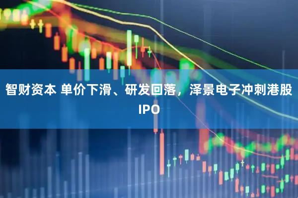 智财资本 单价下滑、研发回落，泽景电子冲刺港股IPO