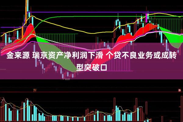 金来源 瑞京资产净利润下滑 个贷不良业务或成转型突破口