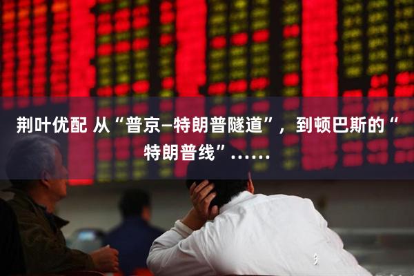 荆叶优配 从“普京—特朗普隧道”，到顿巴斯的“特朗普线”……